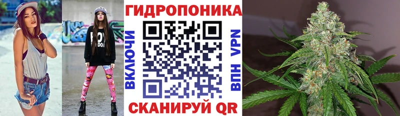 Названия наркотиков Петрозаводск Бошки Шишки  АМФЕТАМИН  ГАШ  Меф мяу мяу 