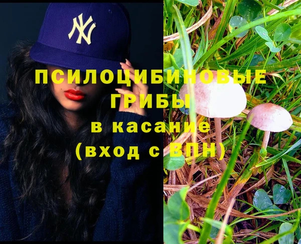 экстази Алексеевка