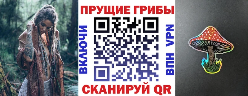 купить  цена  Петрозаводск  Галлюциногенные грибы Cubensis 